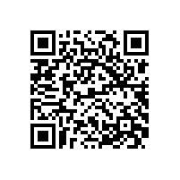 皖南电机市场部召开驻外销售经理新春座谈会