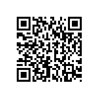 皖南电机售后服务案例四：YZQ电机启动故障解析