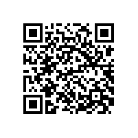 皖南电机顺利通过安标中心现场监督检查