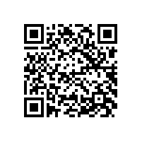 皖南电机孙跃参加电机国家标准起草工作会议