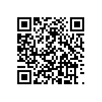 皖南电机通过南京钢铁二方体系审核