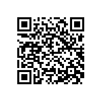 皖南电机通过上海宝钢二方体系审核