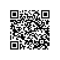 皖南电机售后服务案例一：电机定子绕组对地击穿