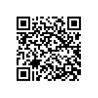 皖南电机信息化升级项目蓝图汇报会