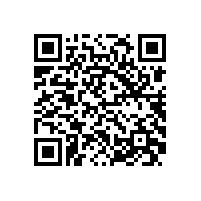 皖南电机样本-NS系列