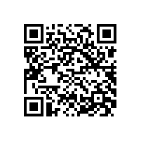 皖南电机样本-YBF2系列