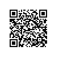 皖南电机样本-YBS系列