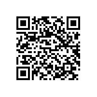 皖南电机样本-YBX3系列（CT4）