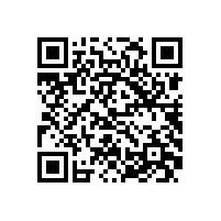 皖南电机样本-YE4系列