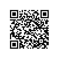 皖南电机样本-ZH4直流系列