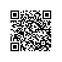 皖南电机样本-ZSL4直流系列