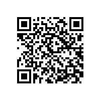 皖南电机一体化管理体系外审圆满结束