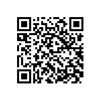 皖南电机一体化体系运行正常有效