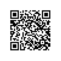 皖南电机为国内某特大型钢厂定制YXVF280L-4电机顺利交付