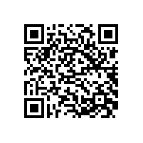 皖南电机召开2016年度表彰会暨标兵事迹报告会