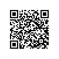 皖南电机召开基干民兵点验大会