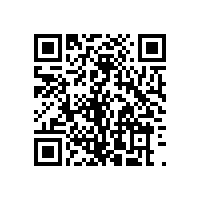 皖南高压电机-Y2系列高压（6kV）