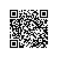 皖南高压电机-YHP系列（电站磨煤机专用）