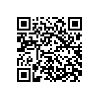 外审专家组来我公司进行管理体系监督审核