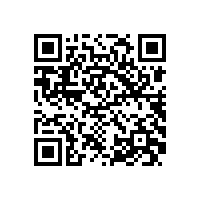 宣城市委书记陶方启来威能公司视察