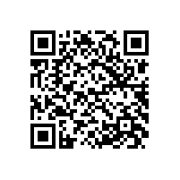 优化管理效能 筑牢新质生产力根基