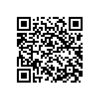 中国港口协会筒仓与散粮运输分会与会代表到皖南电机参观调研