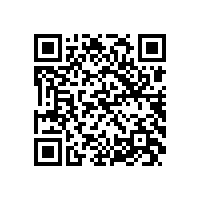 中机企协常务副会长杨一平来皖南电机调研指导