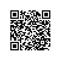 上海办公家具：从上海迪士尼想到的