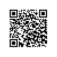 宝钢集团-麒麟科技