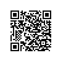 国内锂离子动力电池生产公司