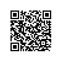 ipad充电器还可以充iphone锂电池吗
