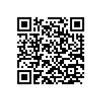 聚合物动力锂电芯的优势特点