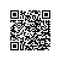 什么是e-call?e-call用什么电池?