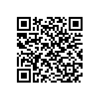 安徽省“调转促”专家组来皖南电机支招