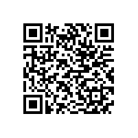 德国电机专家应邀来我公司做技术指导工作