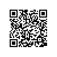 皖南电机样本-YL系列