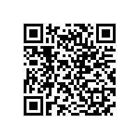 皖南高压电机-YHP系列（电站磨煤机专用）