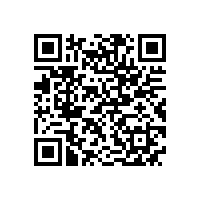 宣城市委书记李中来皖南电机调研