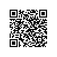 持久战：高效电机普及之路