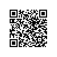 QWN.211-2021 YJZ2系列机床专用三相异步电动机技术条件（机座号80～355）