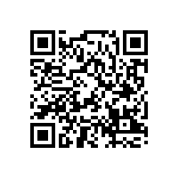 皖南电机举行工艺监督检查情况通报会