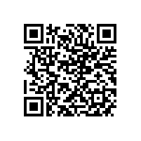 威能公司YXKK900-6 6000KW电机快速交付