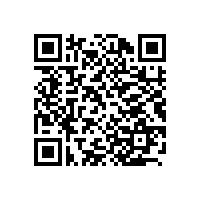 上海百胜软件股份有限公司