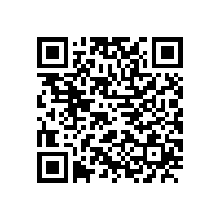 德国电机专家应邀来我公司做技术指导工作