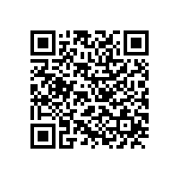 高压电机与低压电机相比有哪些优缺点