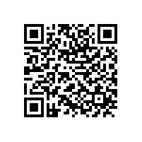 合工大智能院专家来访