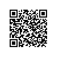 QWN.211-2021 YJZ2系列机床专用三相异步电动机技术条件（机座号80～355）