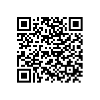 我国多种高效节能电机的发展状况