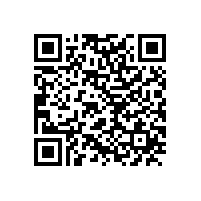 皖南电机再次进入“中国机械500强企业”