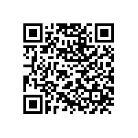 宣城市委书记李中来皖南电机调研